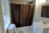 Third floor one room shared portion for rent at 493 WASHINGTON AVE ALBANY NY 12206