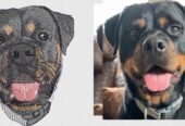 Embroidery Digitizinf Services