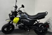 2024 CFMOTO Papio CL