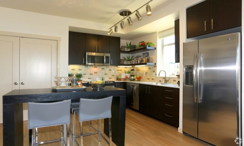 SPACIOUA 1 BEDROOM APARTMENT IN MANHATTAN NEW YORK