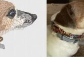 Embroidery Digitizinf Services