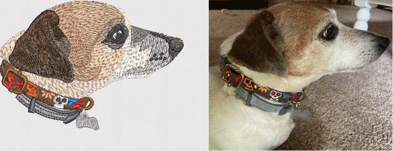 Embroidery Digitizinf Services