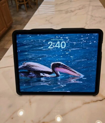 Ipad Pro 12.9 5th Generation 256Gb